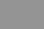ТVT 3437 (дикий гусь)
